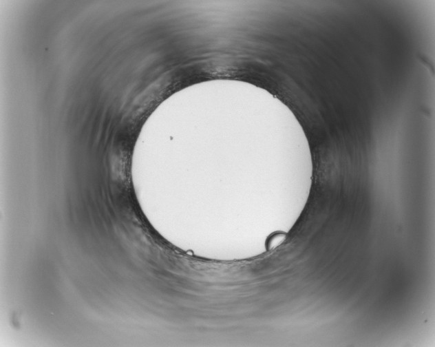 X0000103940044200810031332