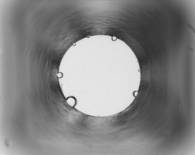 X0000103940045200810031332