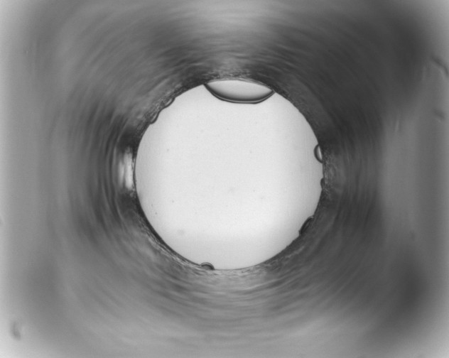 X0000103940046200810031332