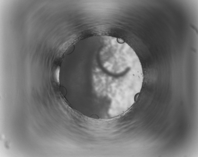 X0000103940047200810031332