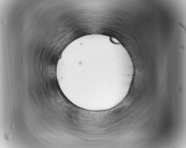 X0000103940048200810031332