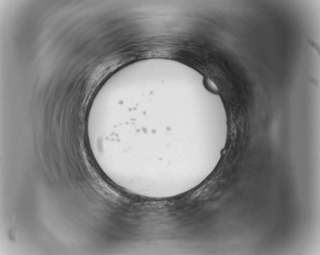 X0000103940049200810031332