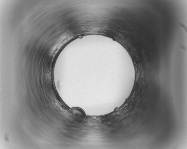 X0000103940050200810031332