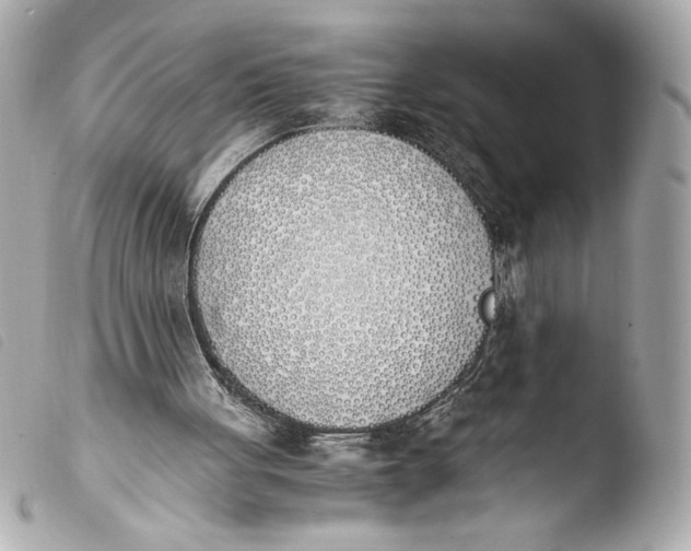 X0000103940051200810031332