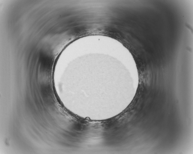 X0000103940052200810031332