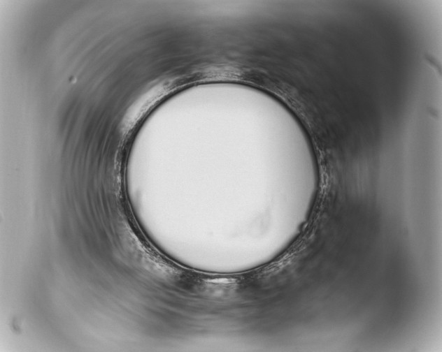 X0000103940053200810031332