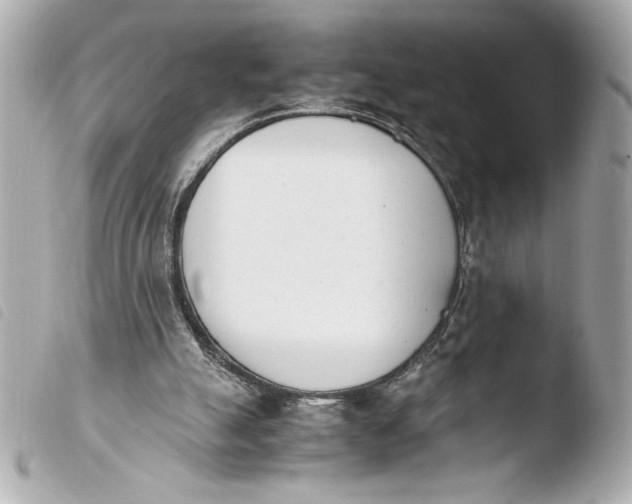 X0000103940055200810031332