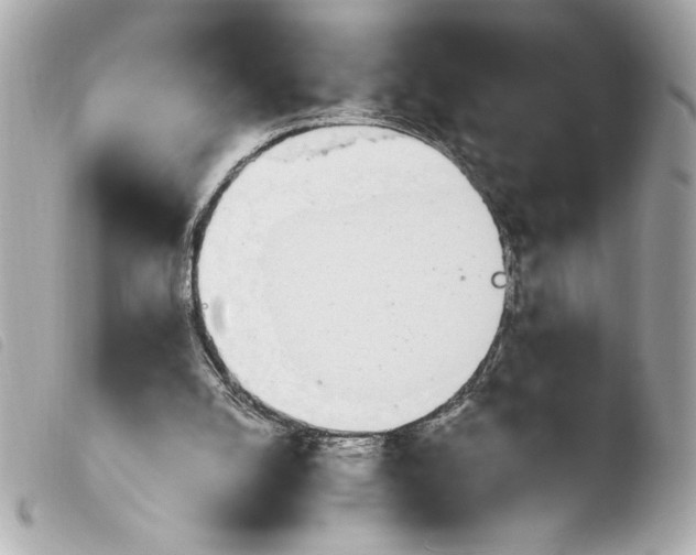 X0000103940056200810031332