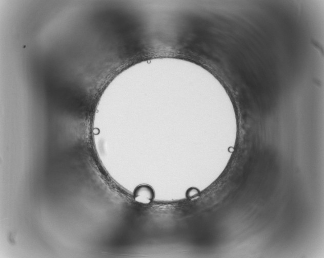 X0000103940057200810031332