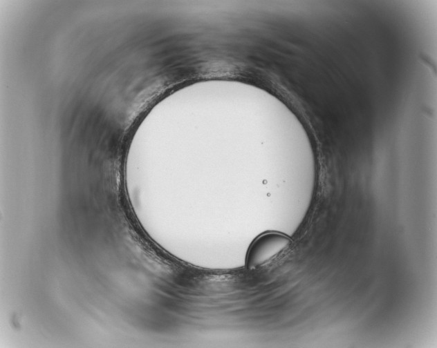 X0000103940059200810031332