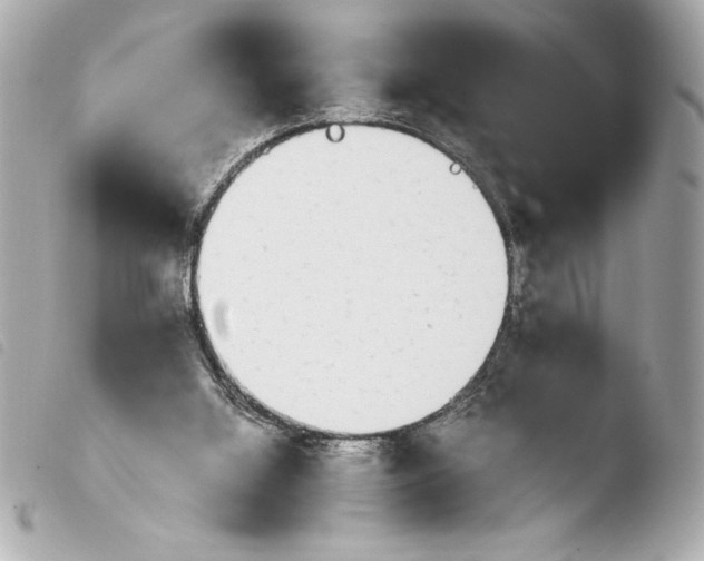 X0000103940060200810031332