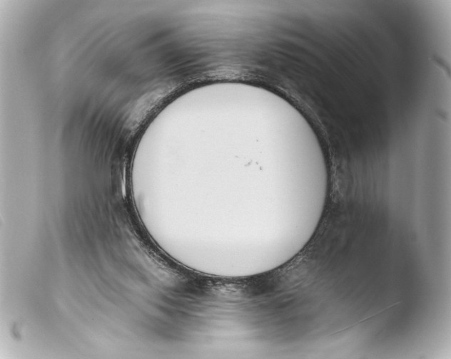 X0000103940062200810031332