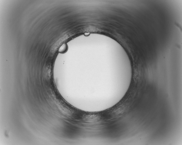 X0000103940063200810031332