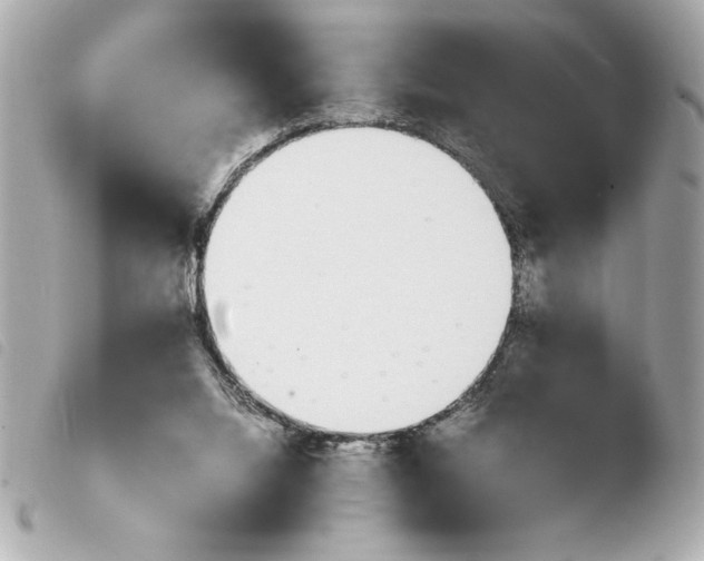 X0000103940064200810031332