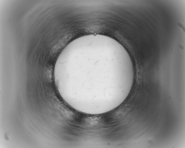 X0000103940065200810031332