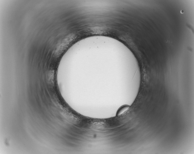 X0000103940066200810031332