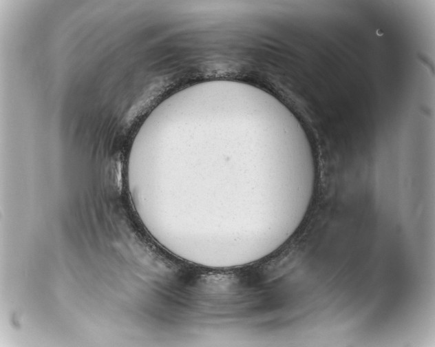 X0000103940067200810031332