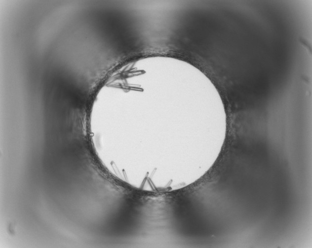 X0000103940068200810031332