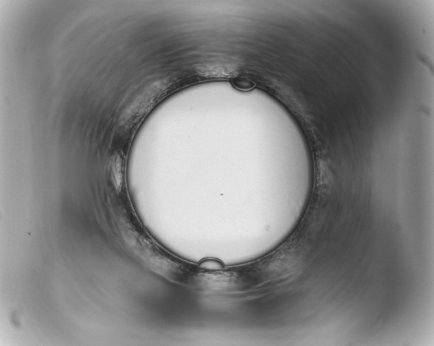 X0000103940069200810031332