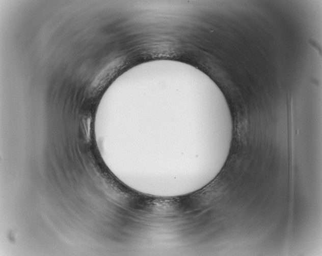 X0000103940070200810031332