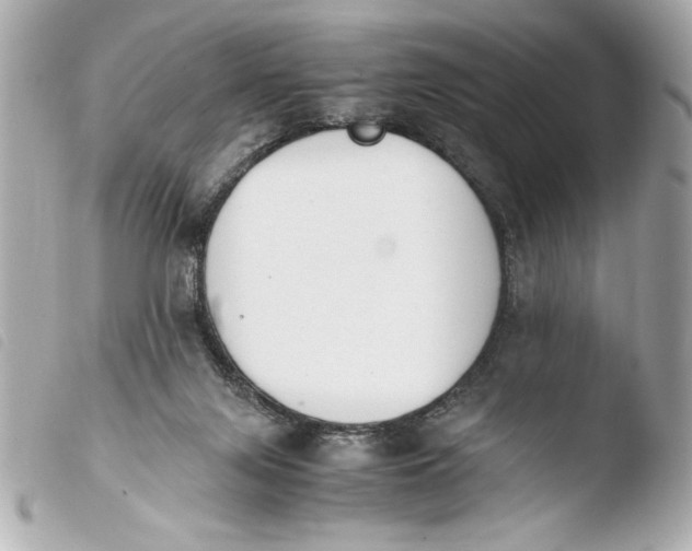 X0000103940071200810031332