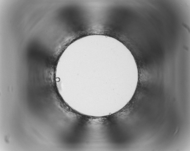 X0000103940072200810031332