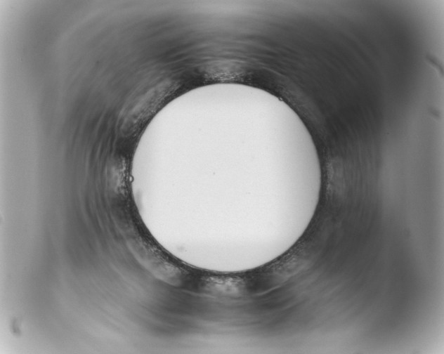 X0000103940073200810031332