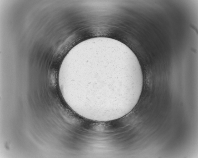 X0000103940074200810031332