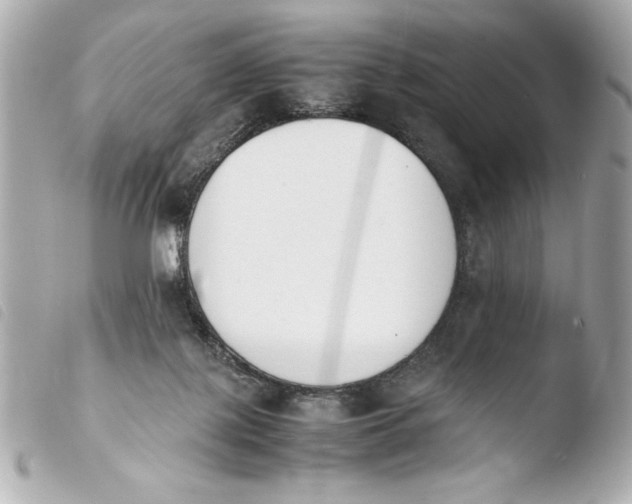 X0000103940075200810031332