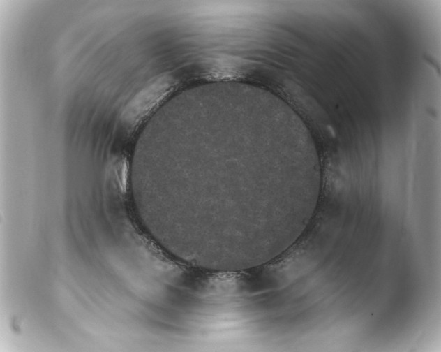 X0000103940076200810031332