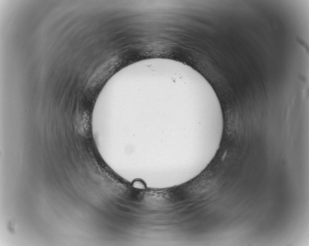 X0000103940077200810031332