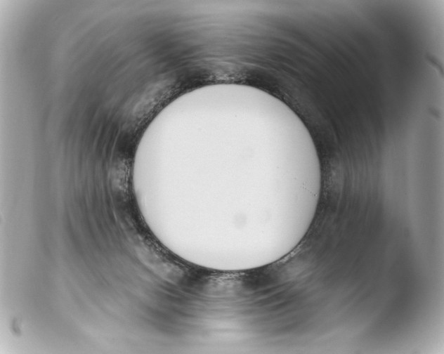 X0000103940078200810031332