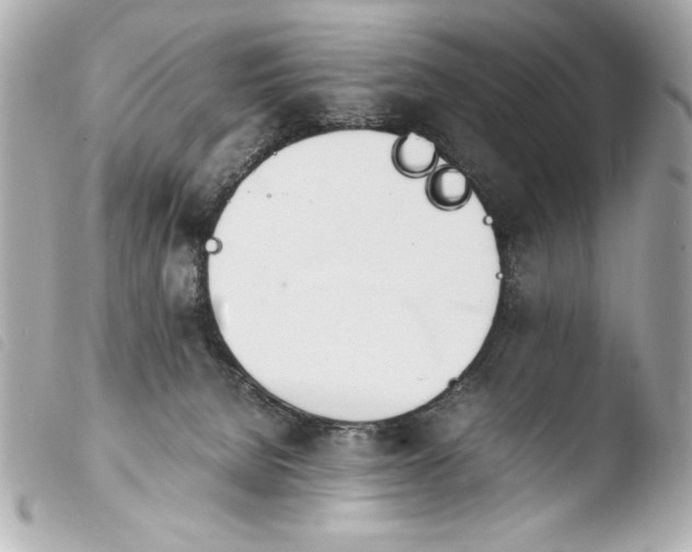 X0000103940080200810031332