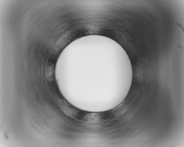 X0000103940082200810031332