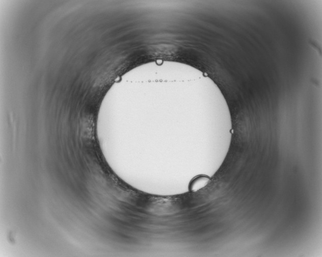 X0000103940083200810031332