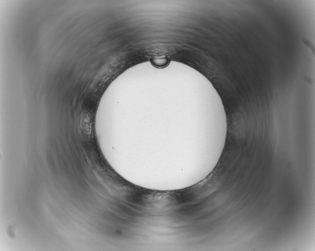 X0000103940086200810031332