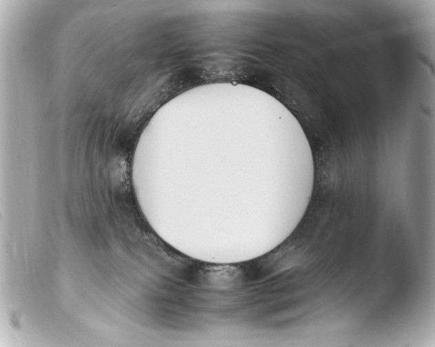 X0000103940087200810031332