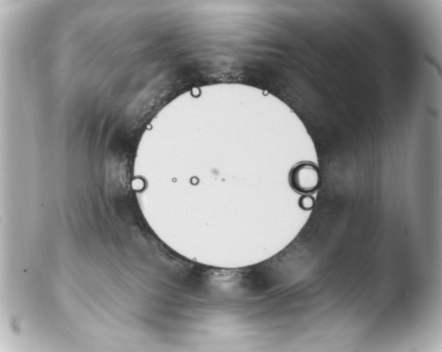 X0000103940088200810031332