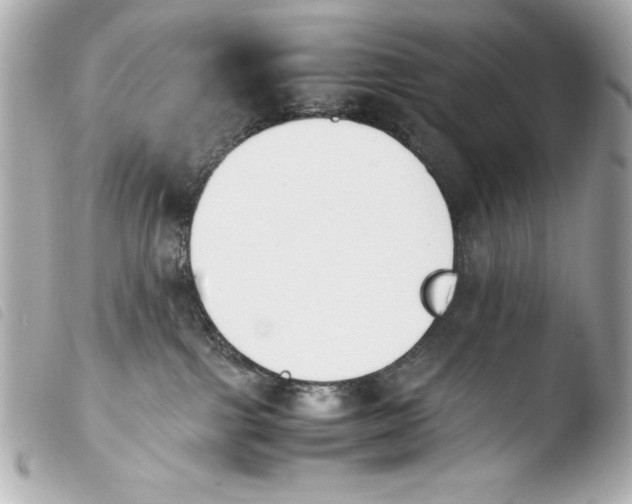 X0000103940091200810031332