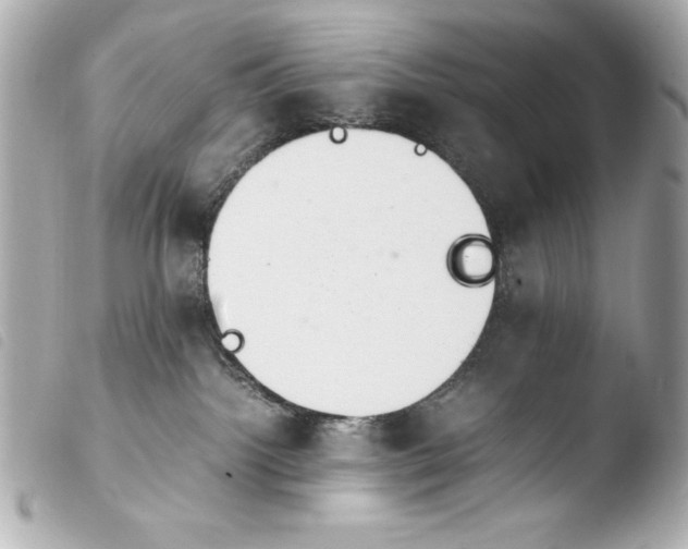 X0000103940092200810031332