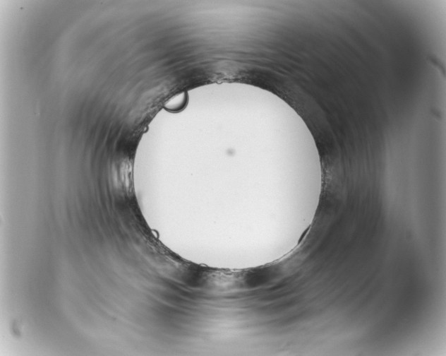 X0000103940094200810031332