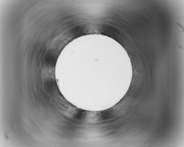 X0000103940096200810031332