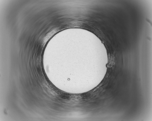 X0000103940099200810031332