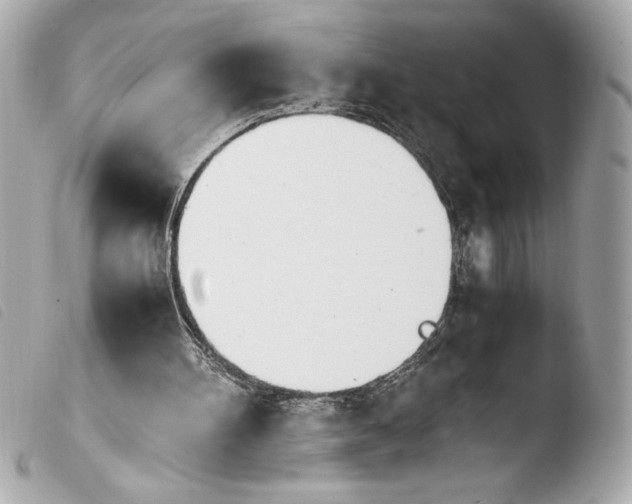 X0000103940100200810031331