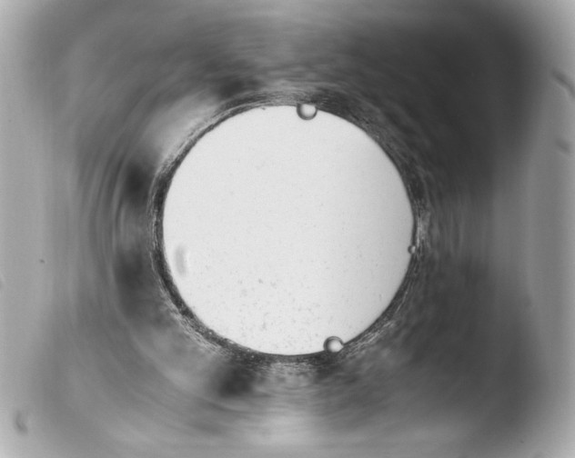 X0000103940101200810031331