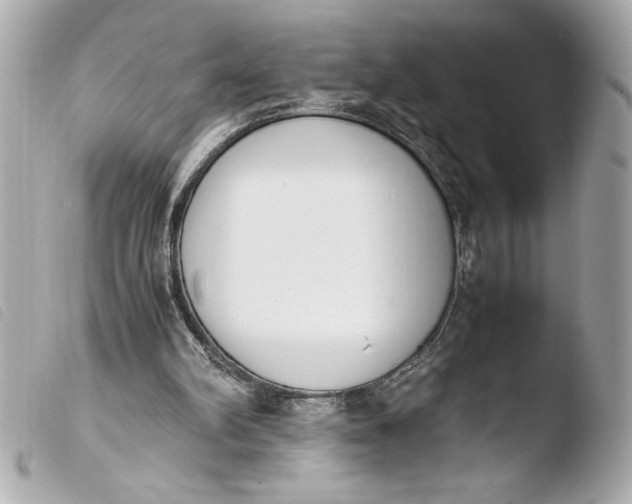 X0000103940102200810031331