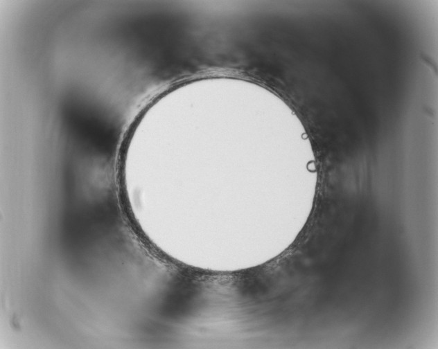 X0000103940104200810031331