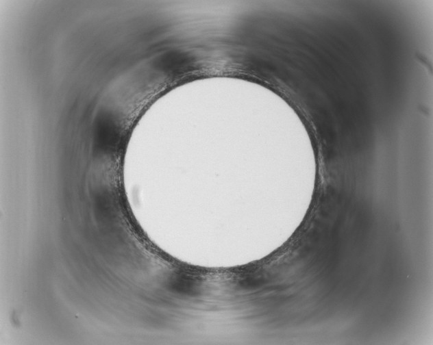 X0000103940105200810031331