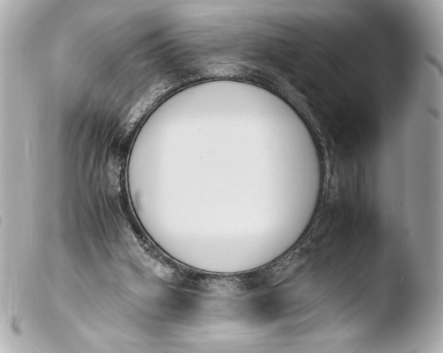 X0000103940106200810031331