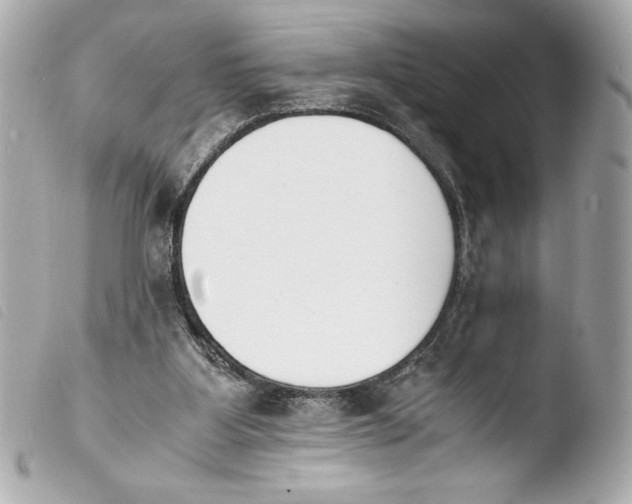 X0000103940107200810031331